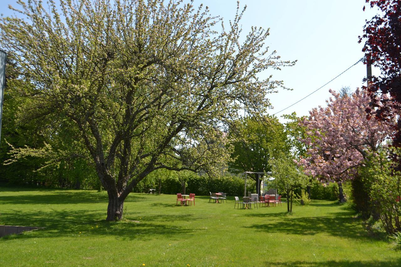 Logis Hotel Restaurant & Spa La Rochette Labaroche Dış mekan fotoğraf